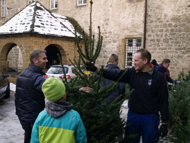 Weihnachtsbaumverkauf 2012